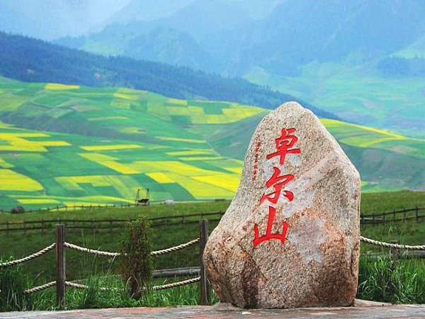【最美小青线】青海湖+茶卡盐湖+祁连卓尔山 +门源油菜花海4天3晚