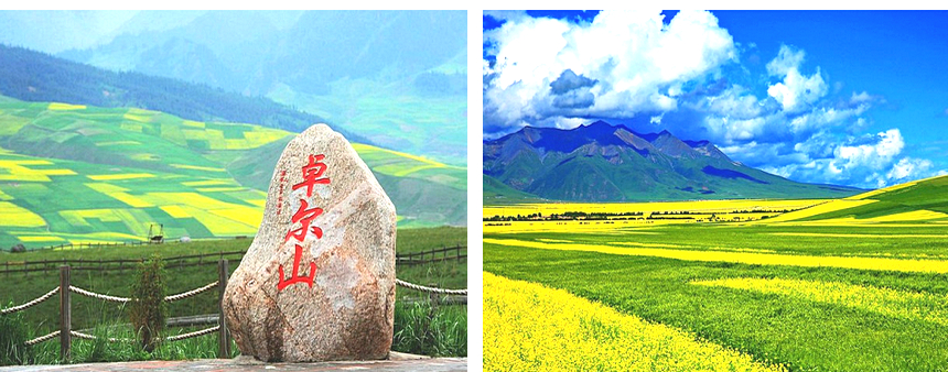 卓尔山